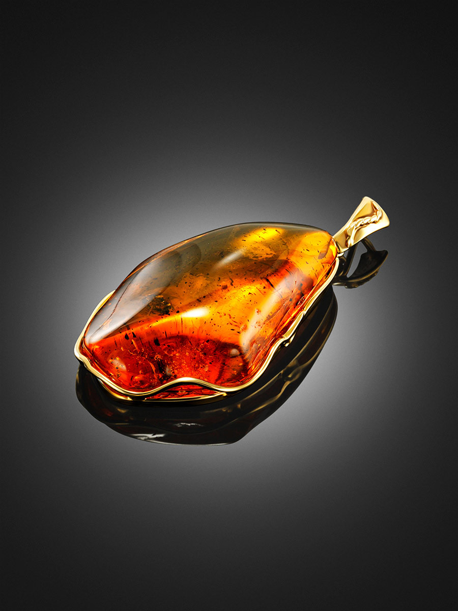 Amber fossil orders necklace