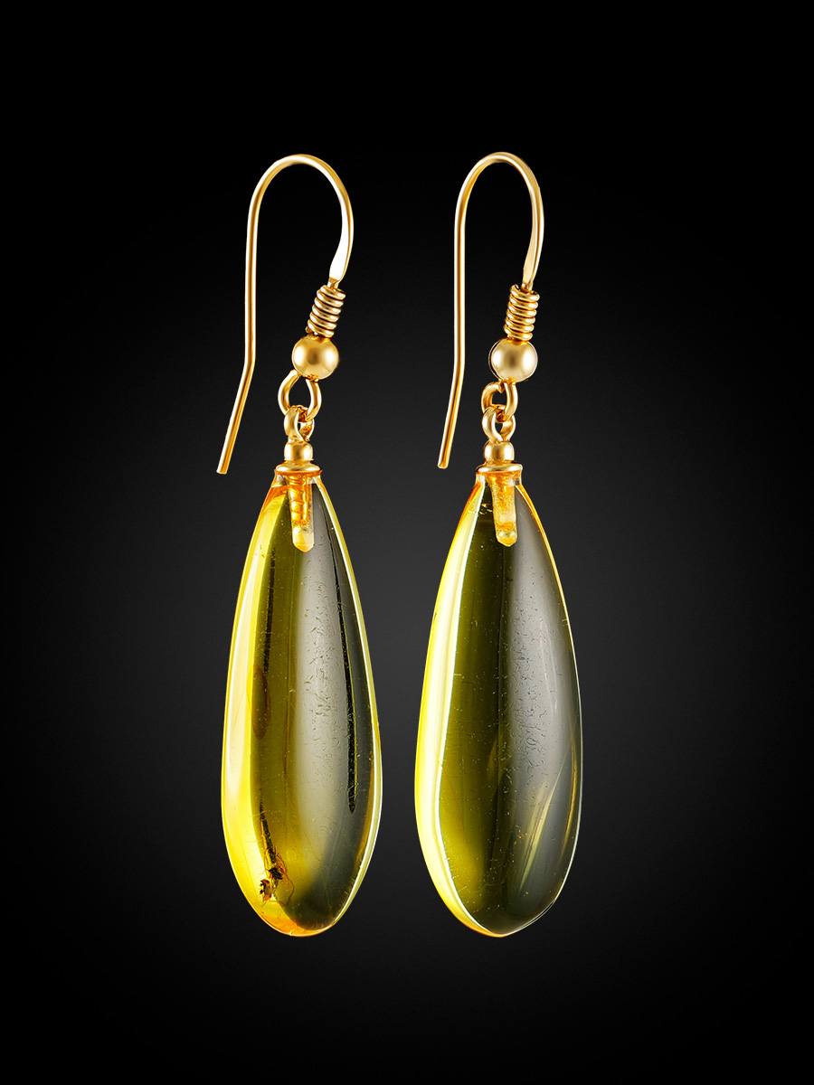 Refined Amber With Fossil Insects Drop Earrings The Clio, image , picture 5