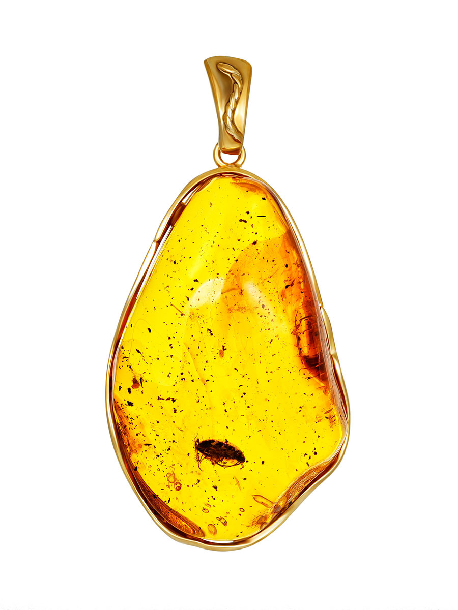 Amber deals fossil necklace