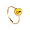 Stylish Amber Ring With Insect Inclusion The Clio, Ring Size: 6.5 / 17, image 