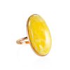 Amazing Golden Ring With Cloudy Amber, Ring Size: 7 / 17.5, image 