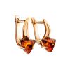 Stylish Golden Earrings With Amber, image 