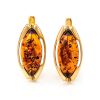 Chic Golden Earrings With Cognac Amber The Ballade, image 
