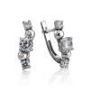 Charming Silver Crystal Earrings, image 