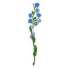 Cute Forget-Me-Not Flower Enamel Brooch, image 