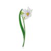 Amazing Daffodil Flower Enamel Brooch, image 