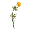 Bright Globe Flower Enamel Brooch, image 