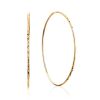 Trendy Golden Hoop Earrings, image 