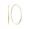 Chic Golden Hoop Earrings, image 