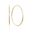 Fashionable Golden Hoop Earrings, image 