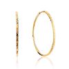 Trendy Textured Golden Hoop Earrings, image 