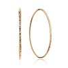 Chic Lightweight Golden Hoop Earrings, image 
