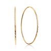 Fabulous Golden Hoop Earrings, image 