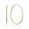 Textured Golden Hoop Earrings, image 