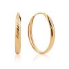 Chunky Golden Hoop Earrings, image 