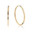 Trendy Ribbed Golden Hoop Earrings, image 