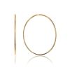 Sleek Golden Hoop Earrings, image 