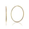 Stylish Sleek Golden Hoop Earrings, image 