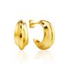 Gorgeous Gold-Plated Silver Earrings The ICONIC, image 