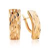 Textured Golden Latch Back Earrings, image 