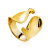 Chic Gilded Silver Adjustable Ring The Liquid, Ring Size: Adjustable, image 