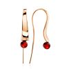 Designer Gilded Silver Fish Hook Earrings With Amber The Palazzo, image 