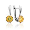 Chic Silver Opal Earrings, image 