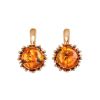 Amber Earrings In Gold-Plated Silver The Brunia, image 