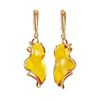 Drop Amber Earrings In Gold The Rialto, image 