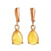 Gold-Plated Earrings With Honey Amber The Twinkle, image 
