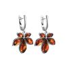 Cognac Amber Earrings In Sterling Silver The Chestnut, image 
