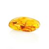 Natural Amber Stone With Insect Inclusion, image 