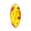 Cognac Amber Souvenir Stone With Inclusions, image 