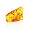 Cognac Amber Souvenir Stone With Insect Inclusions, image 