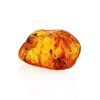 Amber Souvenir Stone With Inclusions, image 