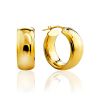 Bright Gilded Silver Hoop Earrings The Silk, image 