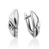 Chic Silver Crystal Earrings, image 