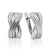 Sleek Silver Earrings, image 