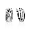 Elegant Silver Earrings, image 