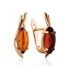Chic Golden Earrings With Cognac Amber The Verbena, image 