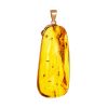 One Of A Kind Amber With Fossil Insect Pendant The Clio, image 