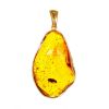 Organic Shape Amber With Fossil Insects Pendant The Clio Collection, image 
