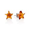Chic Amber Star-Shaped Earrings, image 