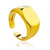 Contemporary Design Signet Ring The ICONIC, Ring Size: Adjustable, image 
