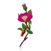 Flamboyant Dog Rose Motif Enamel Brooch, image 