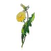Fabulous Dandelion Deisgn Brooch, image 