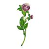 Exquisite Clover Flower Enamel Brooch, image 
