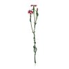 Elegant Clove Flower Enamel Brooch The Herbarium, image 