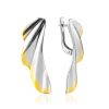 Bicolor Feather Motif Earrings, image 