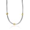 Trendy Silverer Necklace With Gilded Charms The Silk, image 